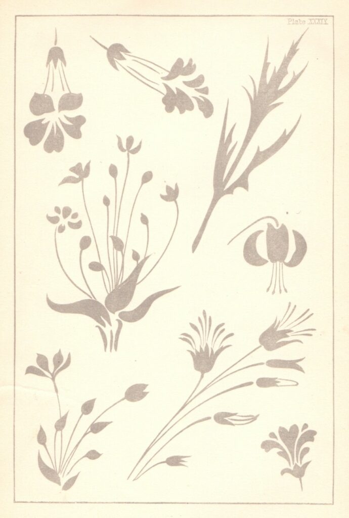 Design plate taken from the Elementary Art Teaching by E.R. Taylor, 1890.